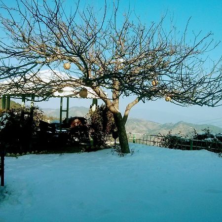 The Swiss Village Resort ناينيتال المظهر الخارجي الصورة