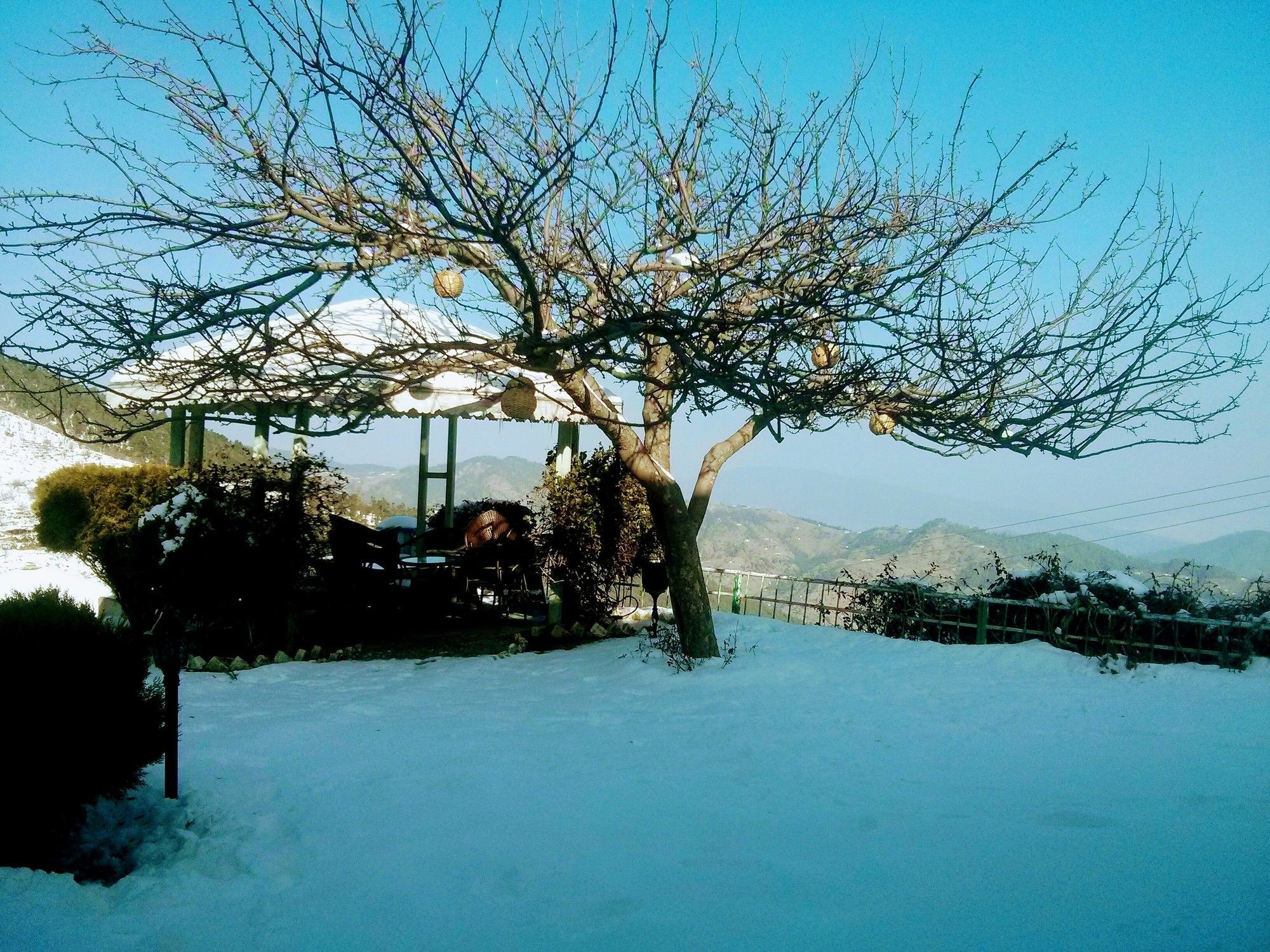 The Swiss Village Resort ناينيتال المظهر الخارجي الصورة
