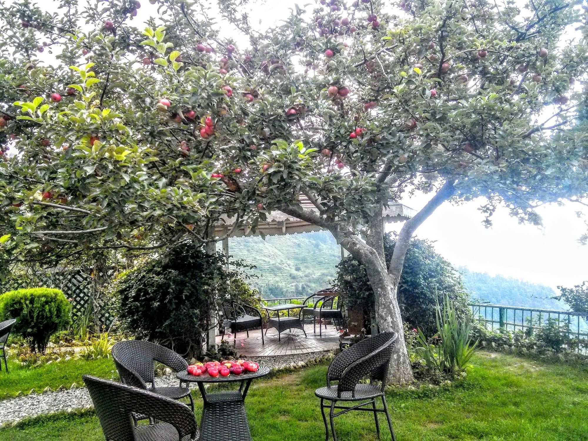 The Swiss Village Resort ناينيتال المظهر الخارجي الصورة